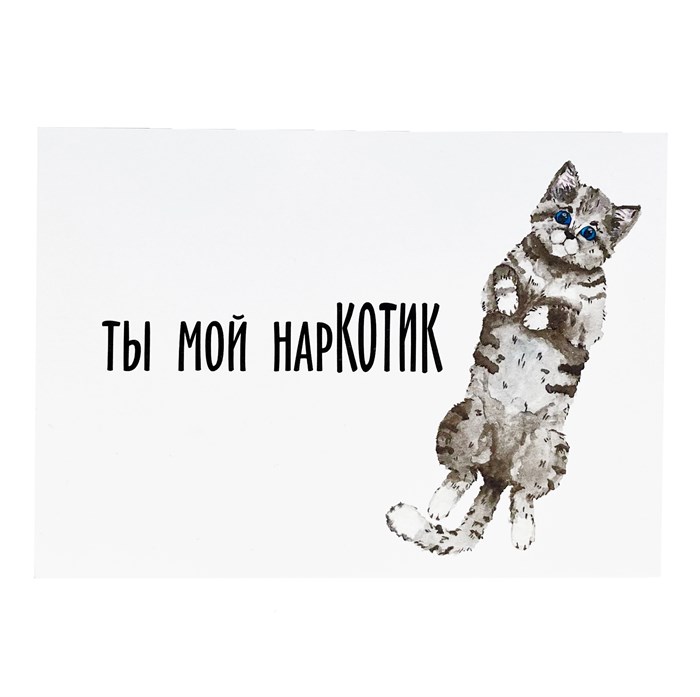Открытка "Котейка" 1831 - фото 4937